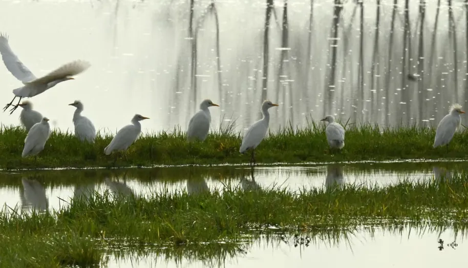 Європу розжарить спека до +25 вже цього тижня