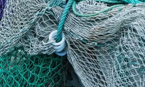 Вища рада правосуддя звільнила п’ятьох суддів на підставі їхніх заяв