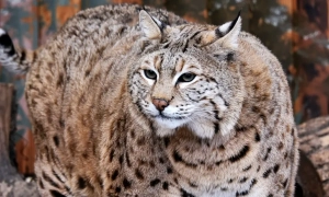 Проезд в Киеве подорожает с 15 июля