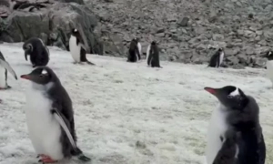 В Украине произошло землетрясение - карта