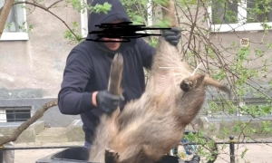 В Аргентине произошло два мощных землетрясения, магнитудой до 6,5