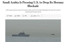 В США раскритиковали конгрессмена за встречу с россиянами