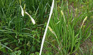 ВАКС підтвердив конфіскацію Вінницького авіазаводу і «Мотор-Банк» на користь України