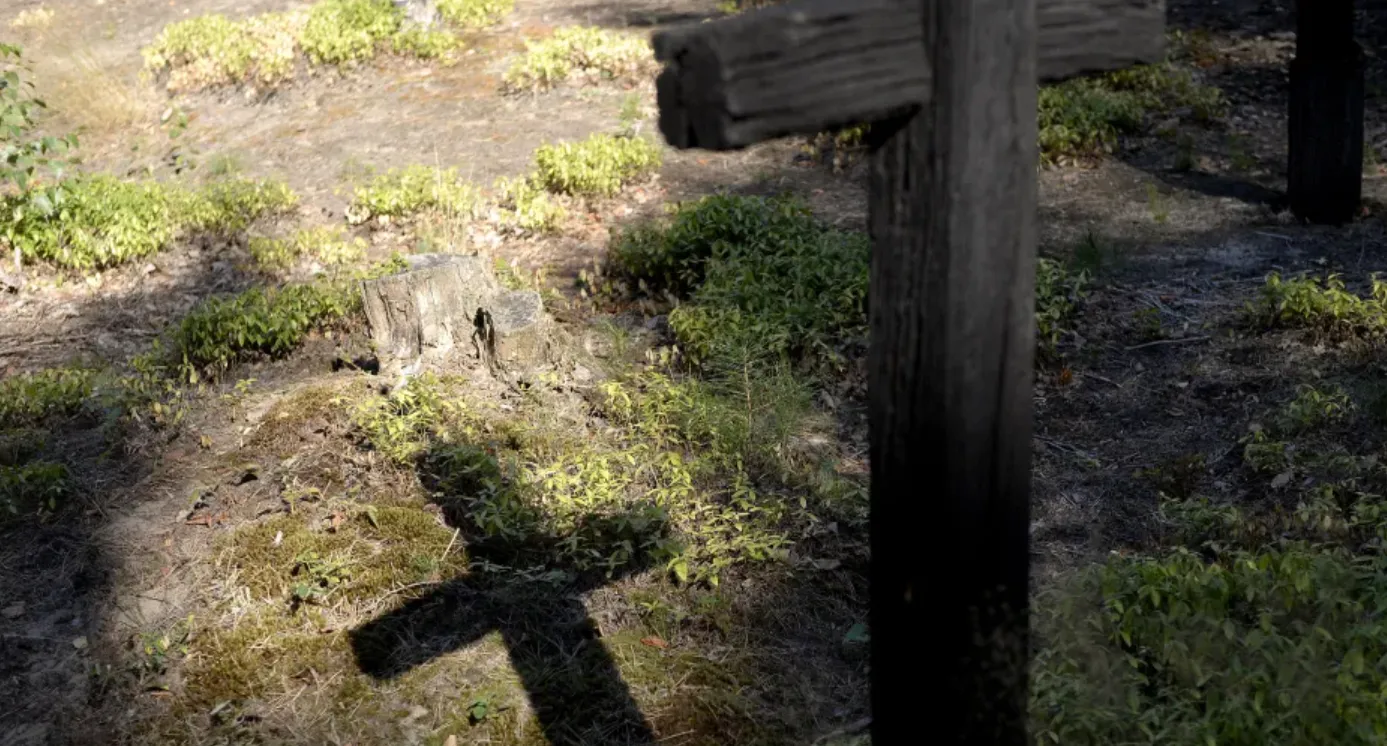 На Волыни обнаружено новое захоронение жертв событий 1943 года