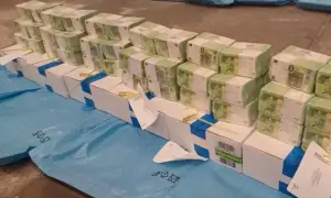 Близько 65% роботодавців готові наймати працівників віком 50+ — дослідження