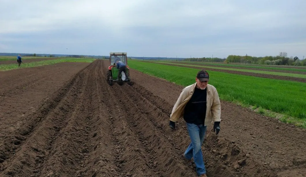 Prices for agricultural land in Ukraine have fallen: how much does a hectare cost?