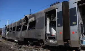 Стан оленя Бориса залишається тяжким, лікування триватиме довго