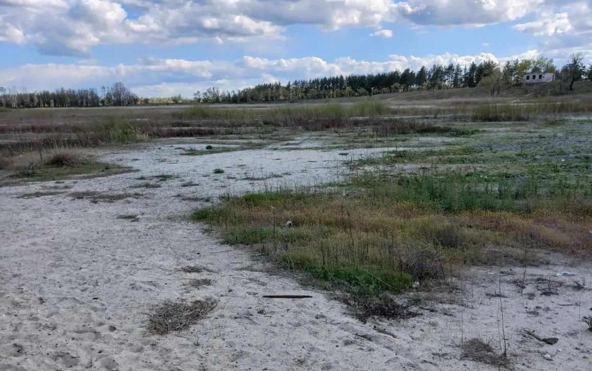 Озеро-візитівка Сіверськодонецька майже висохло в окупації