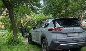 В МИД сообщили, сколько оборонных компаний подтвердили участие в Форуме оборонных индустрий