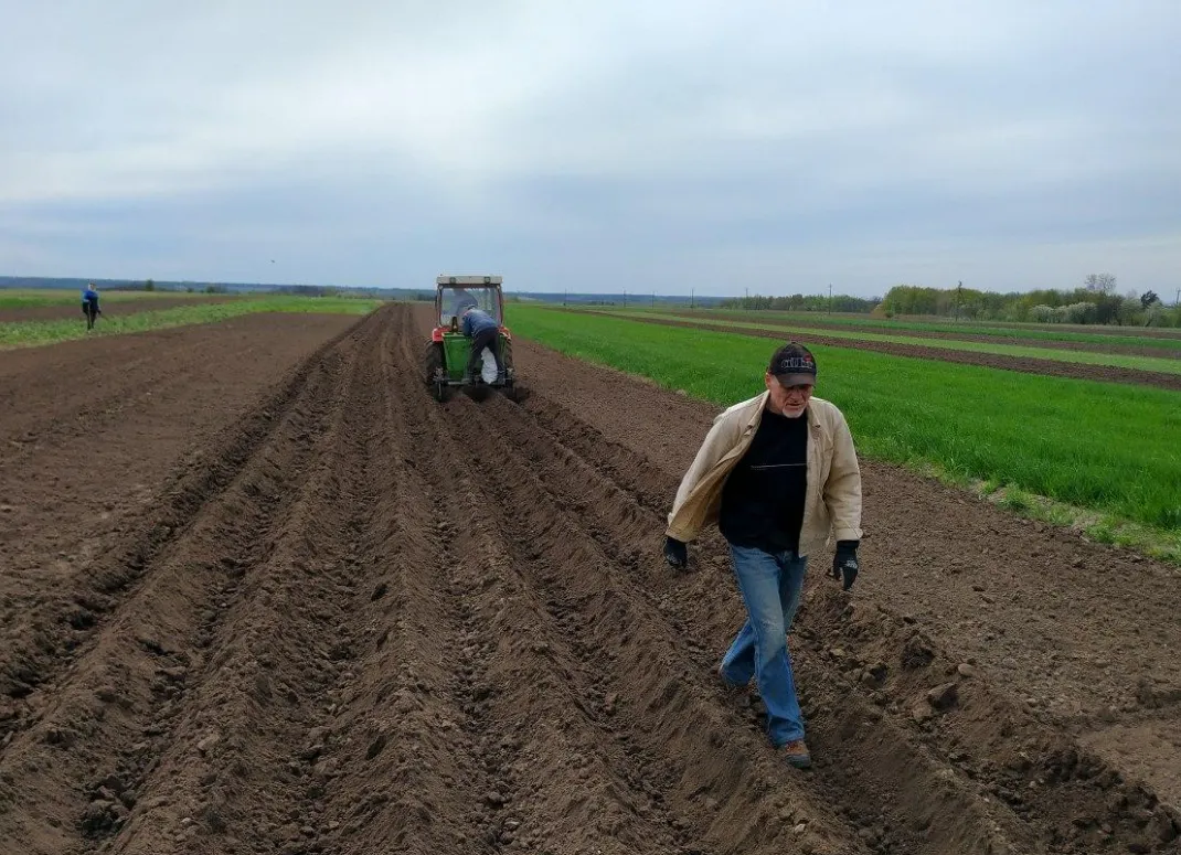 Land prices in Ukraine have risen: how much does a hectare cost now?