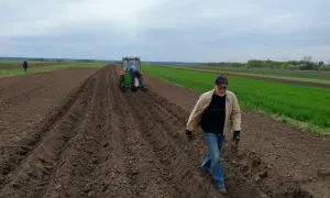 The government is launching a new support program for farmers: up to 1,000 UAH per hectare