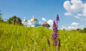 Дальнобойщик пытался изнасиловать 13-летнюю девочку