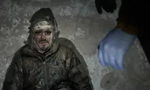 Фото, видео: в Голландии выпустили обои с вымершими животными