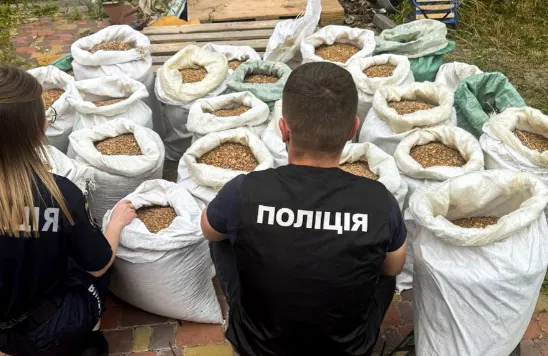 В Ровенской области изъяли более 650 кг незаконного янтаря