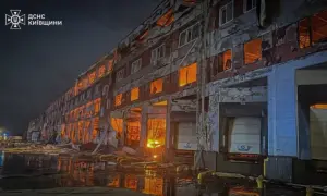В Николаевской области ВСУ за полчаса уничтожили два разведывательных дрона рф