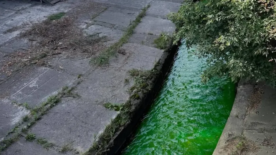 In Kyiv, the Lybid River has turned bright green