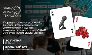 Антикорупційний суд заарештував усе майно Дубневича