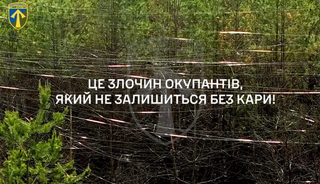 Russian drones have blanketed the forests of the Kharkiv region with thousands of kilometers of fiber-optic cable