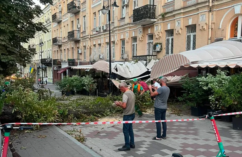В Киеве каштан упал на террасу известного ресторана