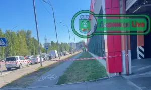 Фото: в Киеве замечено авто Tesla, которое еще не начали производить