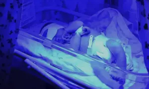 Педиатры предупредили о рисках вейпинга для дыхательной системы подростков