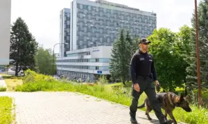 Республиканцы не теряют надежду остановить «Северный поток-2» 