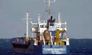 Новый король Норвегии Хокон VIII принес присягу в парламенте — YLE News
