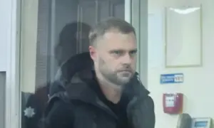 СБУ перекрыла канал контрабанды украинского леса