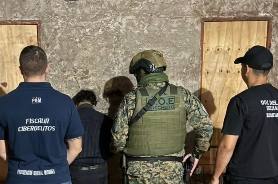 В 17 странах задержали 95 подозреваемых в распространении детской порнографии