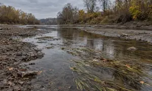 Лучшие юристы Италии взялись за дело Маркива