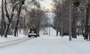 Біля кордону з Молдовою затримали чоловіка, який переховувався серед бананів