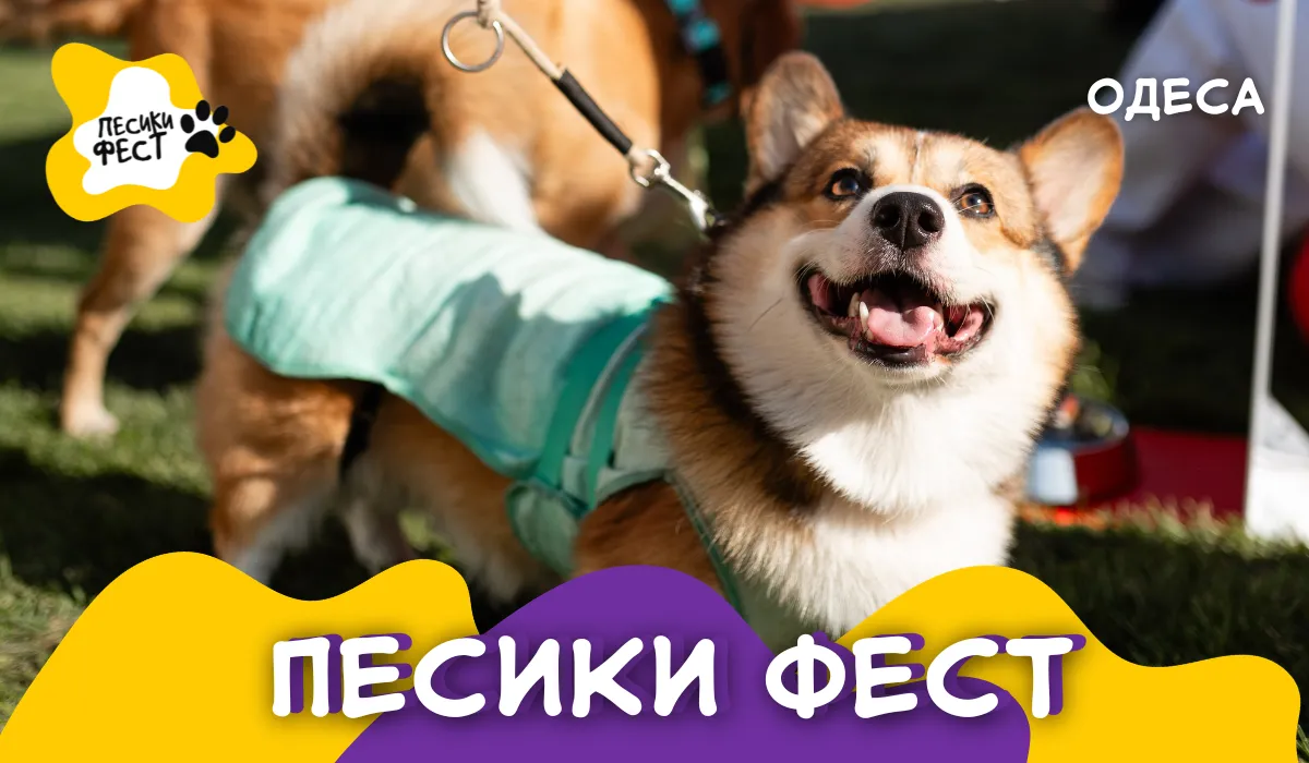 Песики Фест в Одесі зібрав понад тисячу гостей та понад 23 тисячі гривень на благодійність