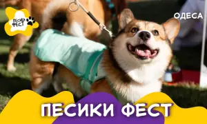 Пять прифронтовых областей частично остались без света после обстрелов со стороны РФ