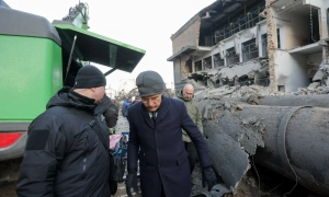 ДБР викрило масштабні схеми незаконної вирубки лісу в трьох областях