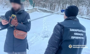 Незаконне захоплення лісів на Закарпатті: підозру повідомлено колишньому помічнику нардепа