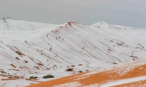 Геноцид українців: коли суд у Гаазі почне розгляд справи