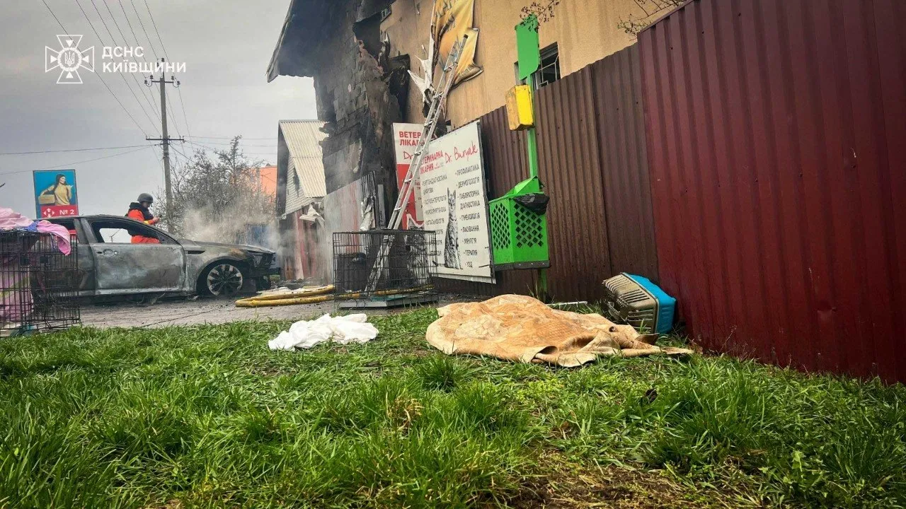 В Чабанах после обстрела спасали животных из ветеринарной клиники, где погибли около 20 четвероногих