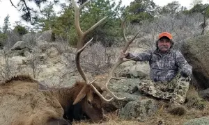 Трамп должен в течение недели определить дальнейшую стратегию войны с Ираном — NYT