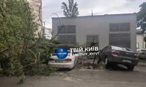 КГГА подтвердила незаконность размещения цирка «Кобзов» на Троицкой площади