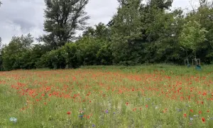 На Сагайдачного в Киеве открылся ресторан подольской кухни