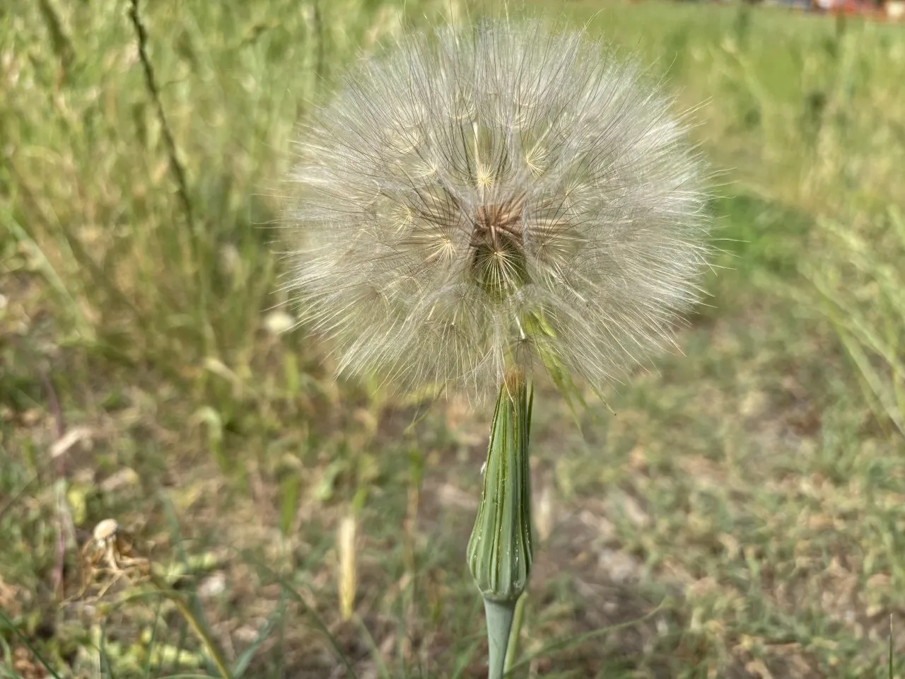 Forecasters have warned of temperatures reaching up to +38° in Ukraine this weekend