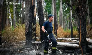 Суд зобов'язав ТЦК прибрати з Резерв+ запис про порушення військового обліку