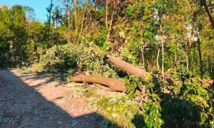 В Києві дозволили відкрити кінотеатри і басейни – проте з певними обмеженнями 