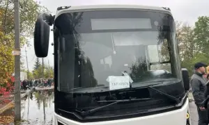 Национальная академия наук вычислила пик эпидемии коронавируса в Украине