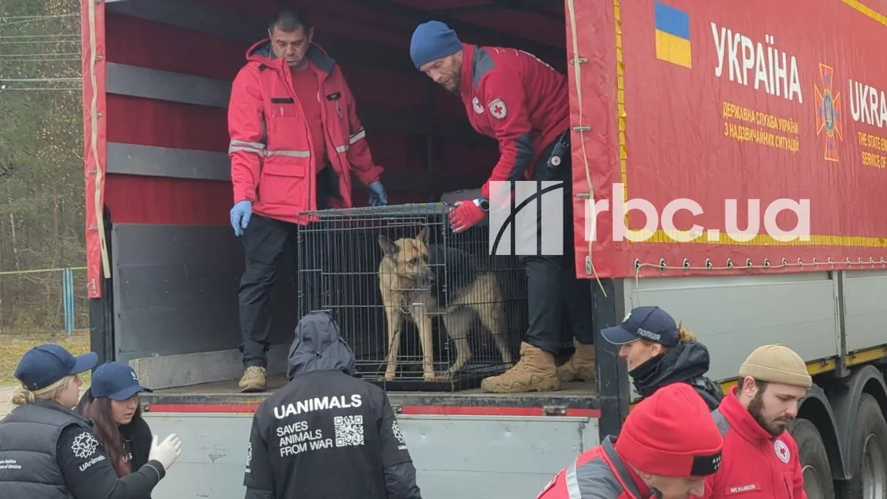 Video: Animals Rescued from Occupied Oleshky Have Arrived in Ukraine