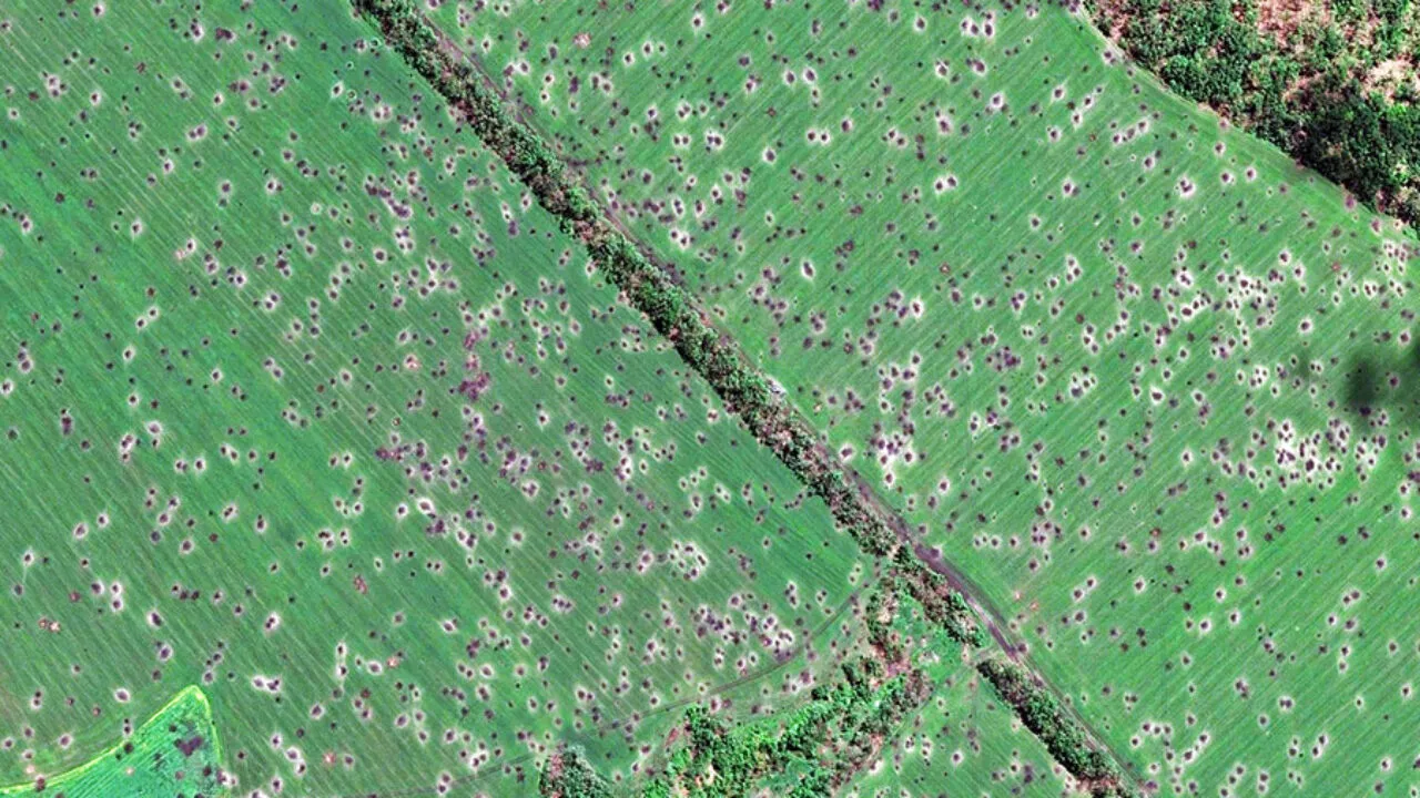 Війна пошкодила понад 10 тисяч га ріллі на півночі України