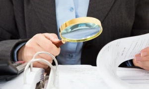 На Рівненщині затримали на хабарі в ₴3 млн керівника надлісництва ДП «Ліси України»