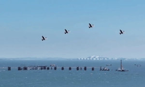 CNN: у США хочуть розробити «Золотий купол» для захисту від ракет