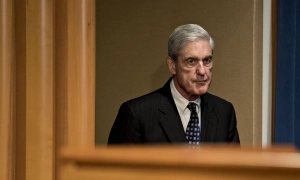 Для собаки Байдена, якого він забрав з притулку, проведуть окрему «інавгурацію»