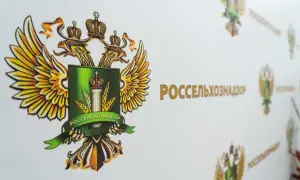 Німеччина вперше за тривалий час очолила Раду Безпеки ООН